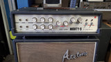 Ace Tone Mighty-5 + Cab