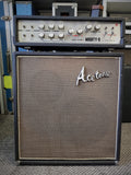 Ace Tone Mighty-5 + Cab