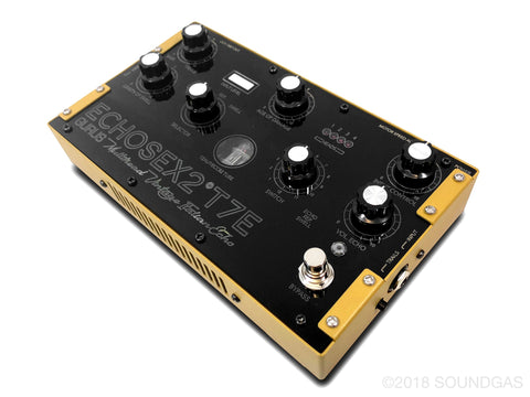 *NEW* Gurus Echosex 2º T7E Model