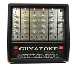 Guyatone VA-80 Professional Vocal Amplifier