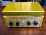 Binson Echorec Baby Pre-Order (Super Slow Varispeed mod)