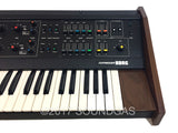Korg Maxi-Korg 800DV