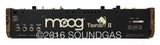 Moog Taurus II