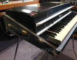 Rhodes Fifty Four 1981