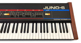 Roland Juno-6 (optional Juno-66 upgrade)