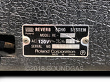 Roland RE-101 Space Echo