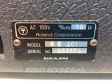 Roland RE-201 Space Echo