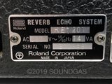 Roland RE-201 Space Echo