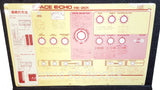 Roland RE-201 Space Echo *Near Mint*