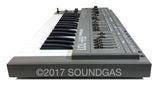 Roland SH-101