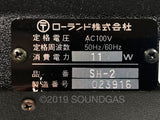 Roland SH-2 Synthesizer