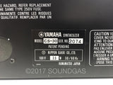 Yamaha CS-30